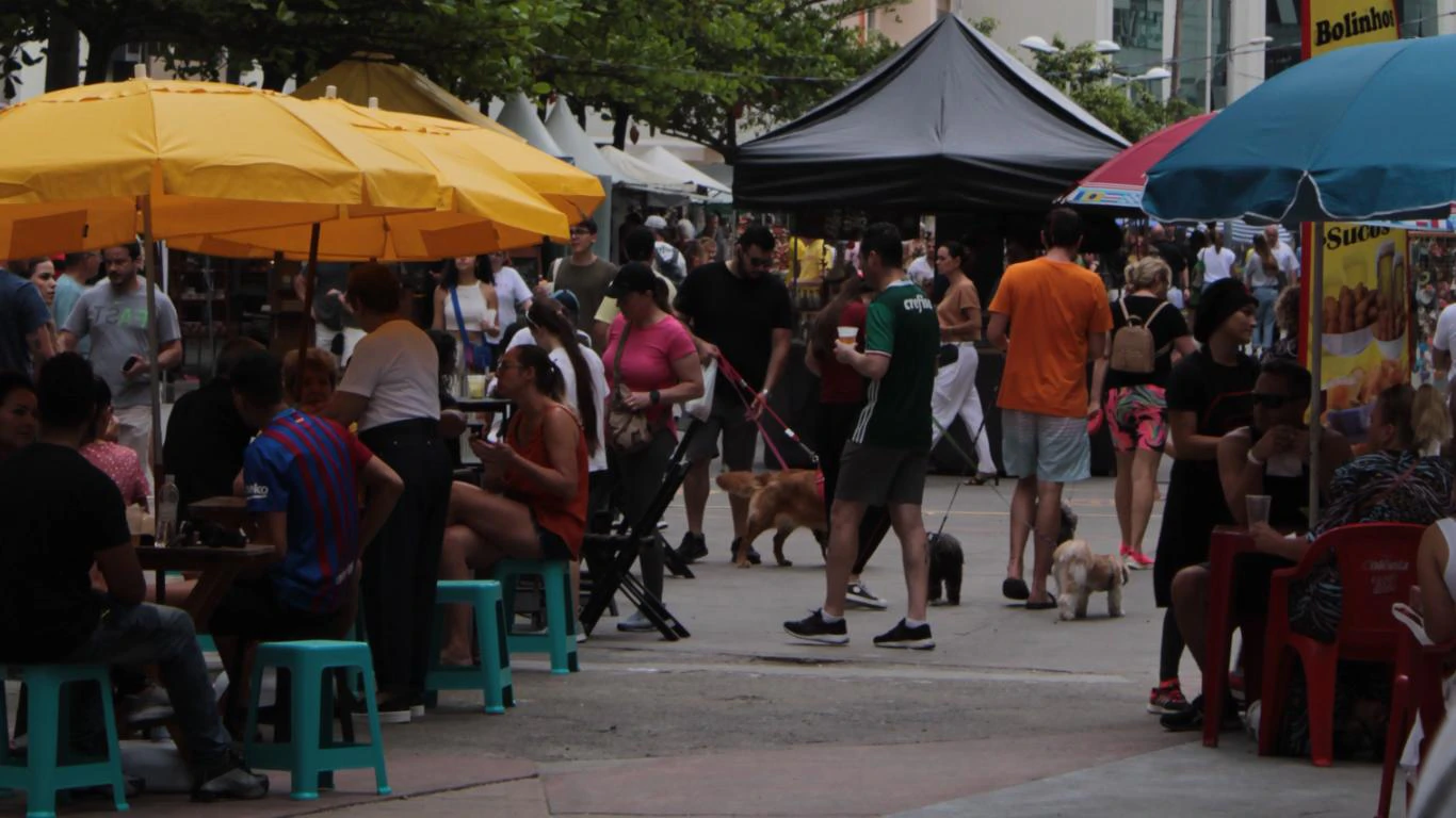 Feira da Cultura